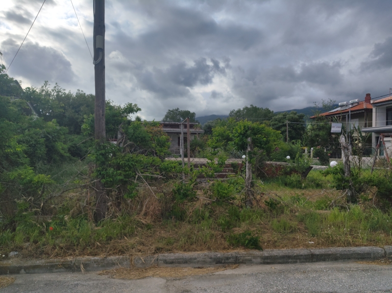 property-img