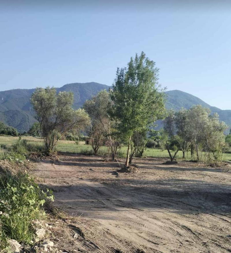 property-img